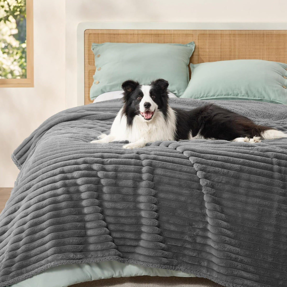 ComfyFleece™ Waterproof Dog Blankets for Large Dogs,50x60 Cream | Soft Plush Couch Cover,Washable Corduroy Fleece for Furniture Protector,Cozy Calming Reversible Pet Blanket for Senior Dogs