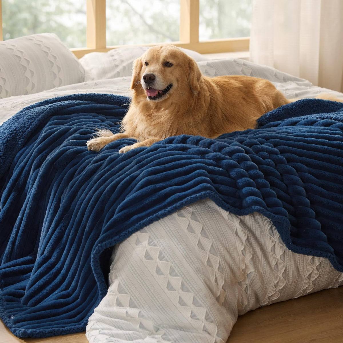 ComfyFleece™ Waterproof Dog Blankets for Large Dogs,50x60 Cream | Soft Plush Couch Cover,Washable Corduroy Fleece for Furniture Protector,Cozy Calming Reversible Pet Blanket for Senior Dogs