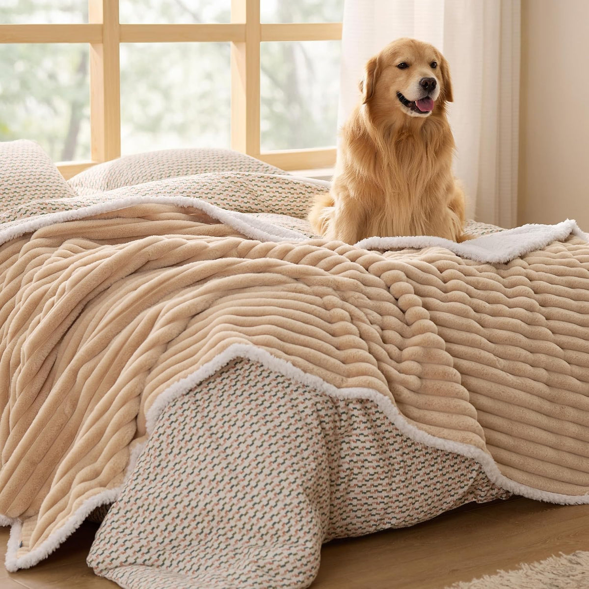 ComfyFleece™ Waterproof Dog Blankets for Large Dogs,50x60 Cream | Soft Plush Couch Cover,Washable Corduroy Fleece for Furniture Protector,Cozy Calming Reversible Pet Blanket for Senior Dogs