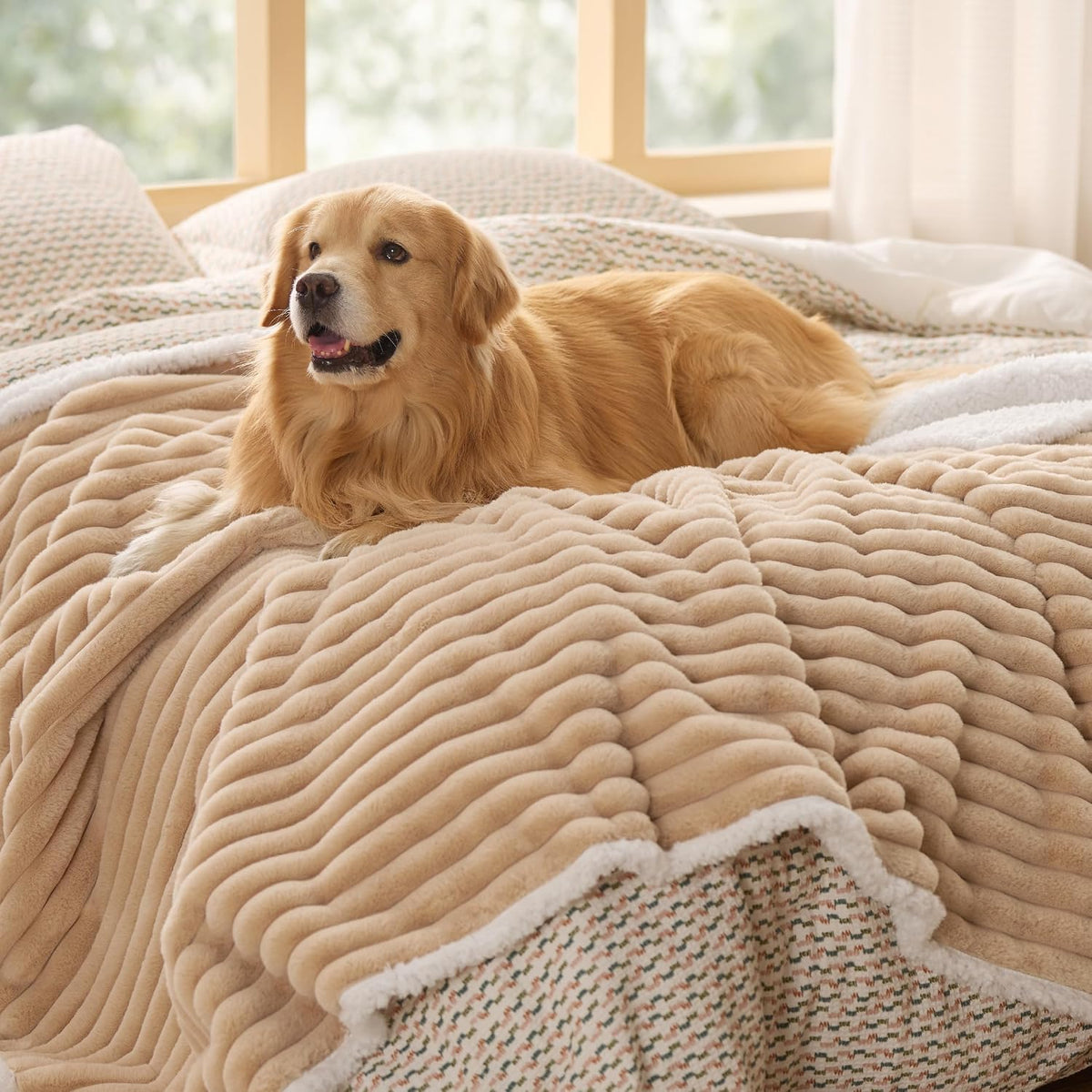 ComfyFleece™ Waterproof Dog Blankets for Large Dogs,50x60 Cream | Soft Plush Couch Cover,Washable Corduroy Fleece for Furniture Protector,Cozy Calming Reversible Pet Blanket for Senior Dogs