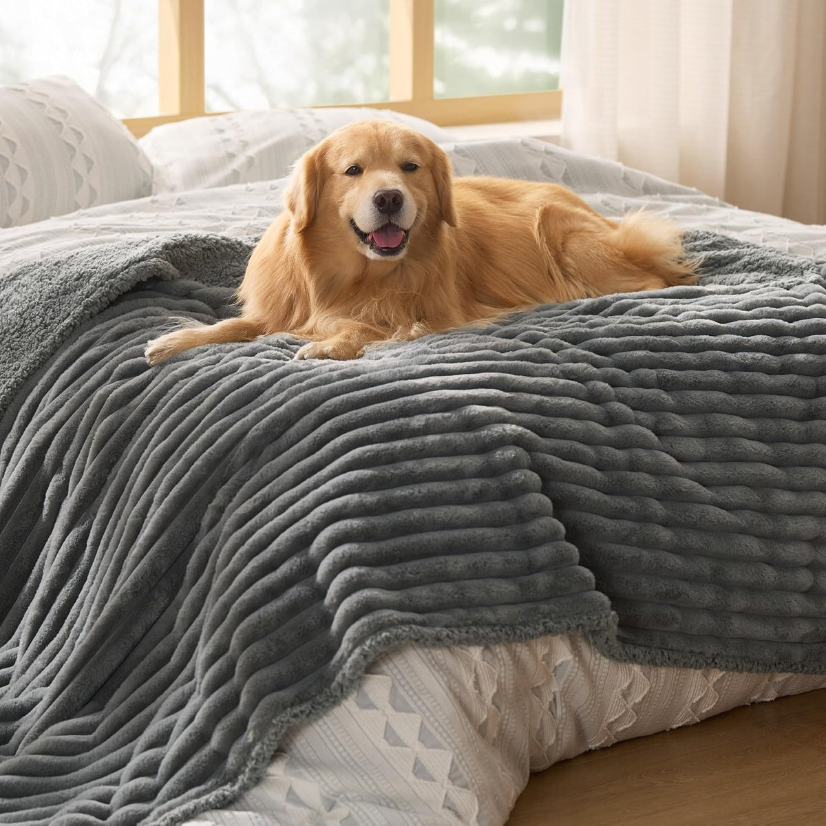 ComfyFleece™ Waterproof Dog Blankets for Large Dogs,50x60 Cream | Soft Plush Couch Cover,Washable Corduroy Fleece for Furniture Protector,Cozy Calming Reversible Pet Blanket for Senior Dogs