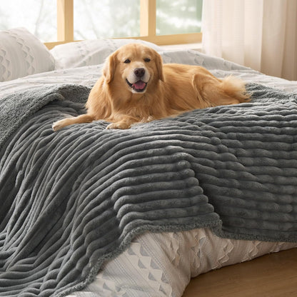ComfyFleece™ Waterproof Dog Blankets for Large Dogs,50x60 Cream | Soft Plush Couch Cover,Washable Corduroy Fleece for Furniture Protector,Cozy Calming Reversible Pet Blanket for Senior Dogs
