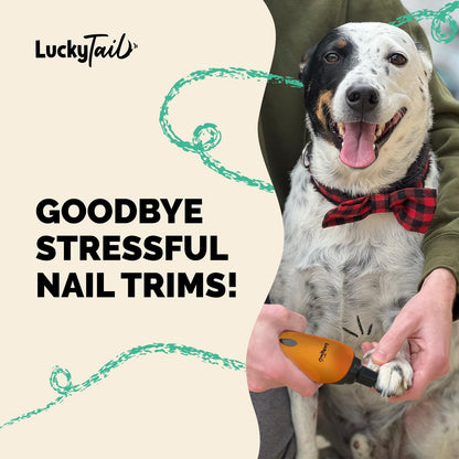 Pet Nail Grinder for Dogs and Cats - Super Quiet and Low Vibration Electric Dog Nail Grinder with 2 LED Lights - USB Rechargeable and Cordless - 2 Speeds - Small to Large Pets