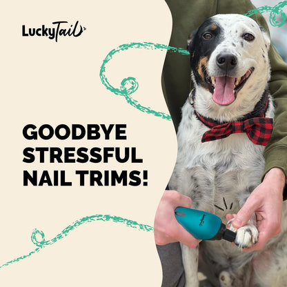 Pet Nail Grinder for Dogs and Cats - Super Quiet and Low Vibration Electric Dog Nail Grinder with 2 LED Lights - USB Rechargeable and Cordless - 2 Speeds - Small to Large Pets