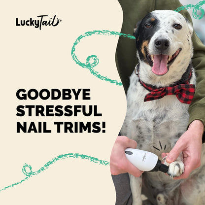 Pet Nail Grinder for Dogs and Cats - Super Quiet and Low Vibration Electric Dog Nail Grinder with 2 LED Lights - USB Rechargeable and Cordless - 2 Speeds - Small to Large Pets