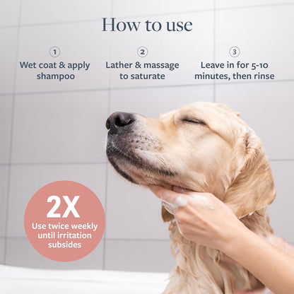 Clinical Care Hot Spot & Itch Relief Pet Shampoo, 16 oz