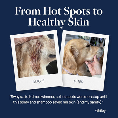 Clinical Care Hot Spot & Itch Relief Pet Shampoo, 16 oz