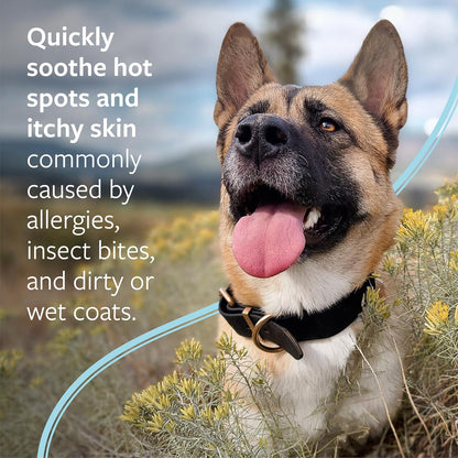 Clinical Care Hot Spot & Itch Relief Pet Shampoo, 16 oz