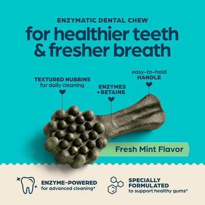 Dog Treats, Fresh Mint Flavor Dental Chews