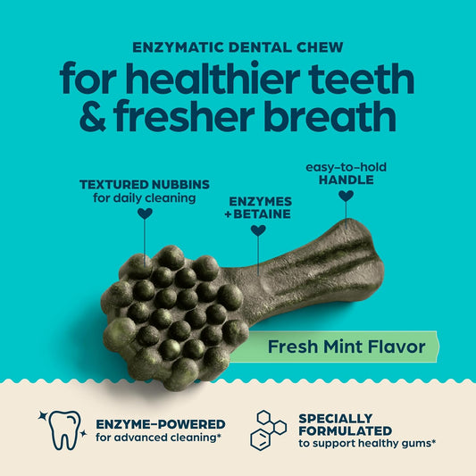 Dog Treats, Fresh Mint Flavor Dental Chews