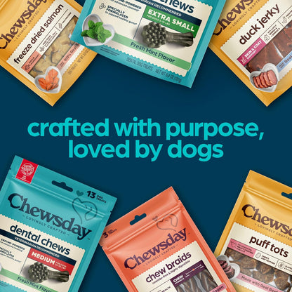 Dog Treats, Fresh Mint Flavor Dental Chews