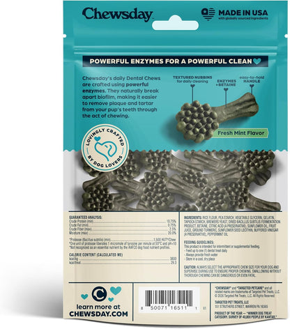 Dog Treats, Fresh Mint Flavor Dental Chews