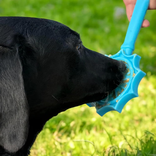 Lick Sticks eToy – Durable Interactive Enrichment Toy Made in USA from Non-Toxic, Pet-Safe, Food Safe Material for Bonding, Training, Calming, Mental Stimulation, Oral Health & More