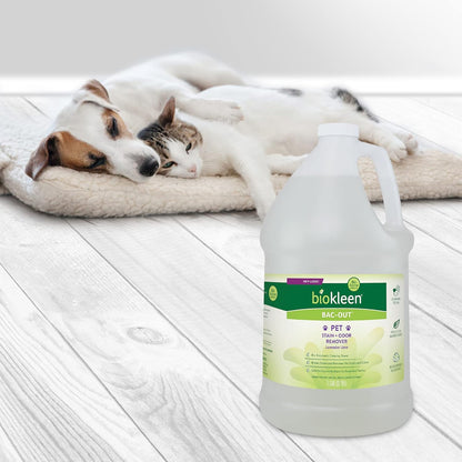 Bac-Out Pet Stain Remover - Enzymatic, Natural, Plant-Based Destroys Stains & Odors, Safe for Surfaces & Fabrics, Carpet Cleaner - Eco-Friendly, Lavender Lime Scent, 1 Gallon