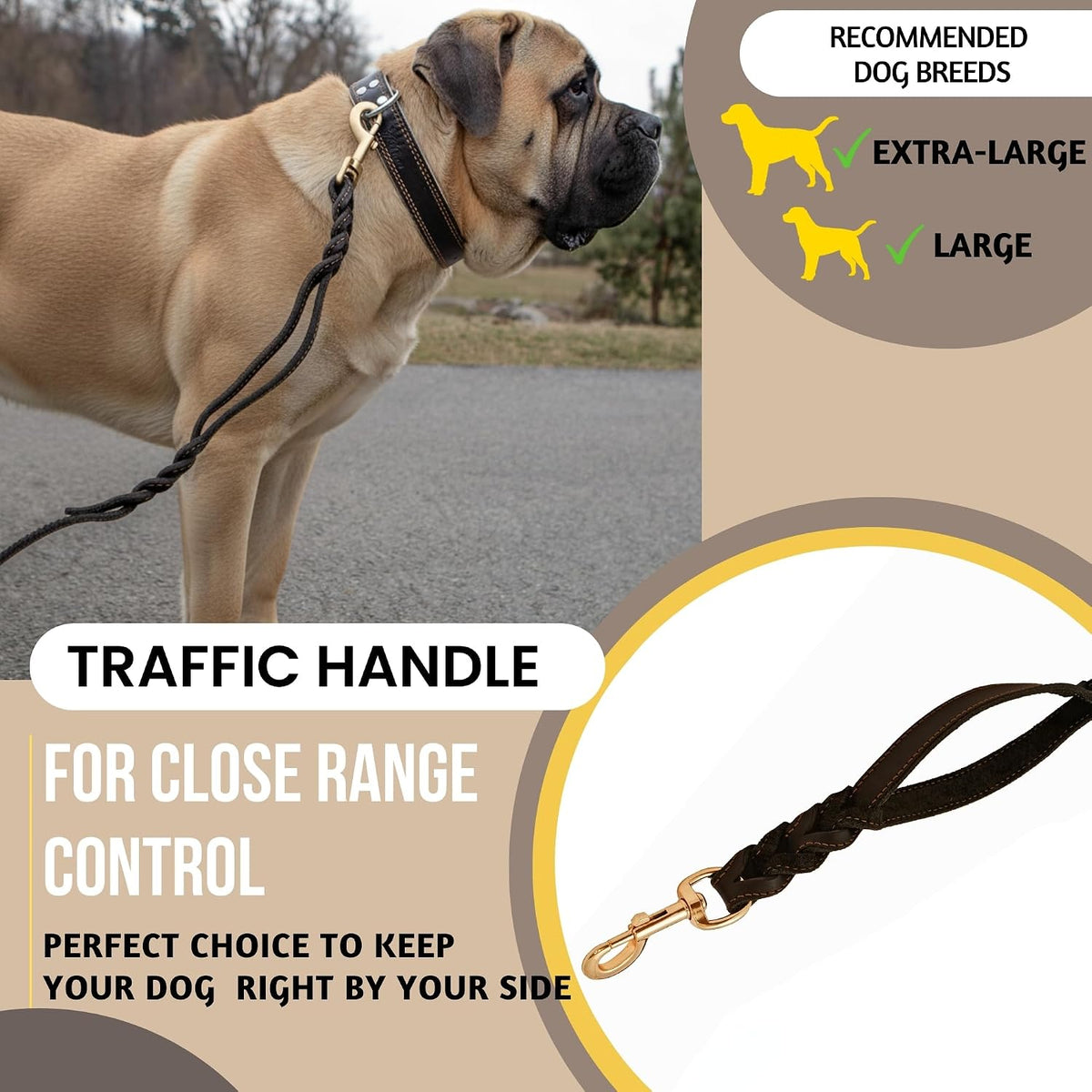Leather Dog Leash with Traffic Handle, 6ft, Medium & Large Dogs