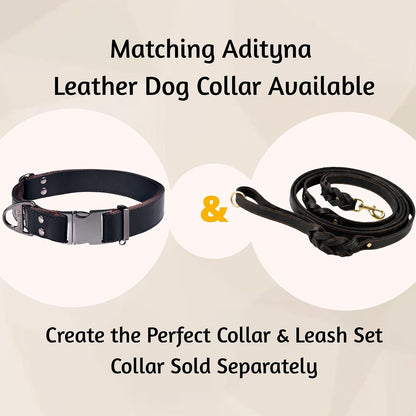 Leather Dog Leash with Traffic Handle, 6ft, Medium & Large Dogs