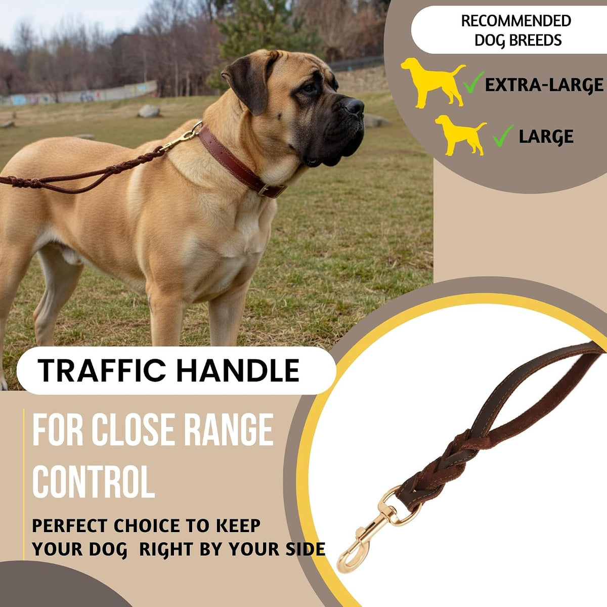 Leather Dog Leash with Traffic Handle, 6ft, Medium & Large Dogs