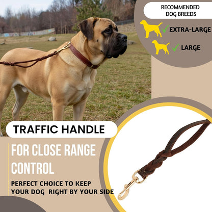 Leather Dog Leash with Traffic Handle, 6ft, Medium & Large Dogs