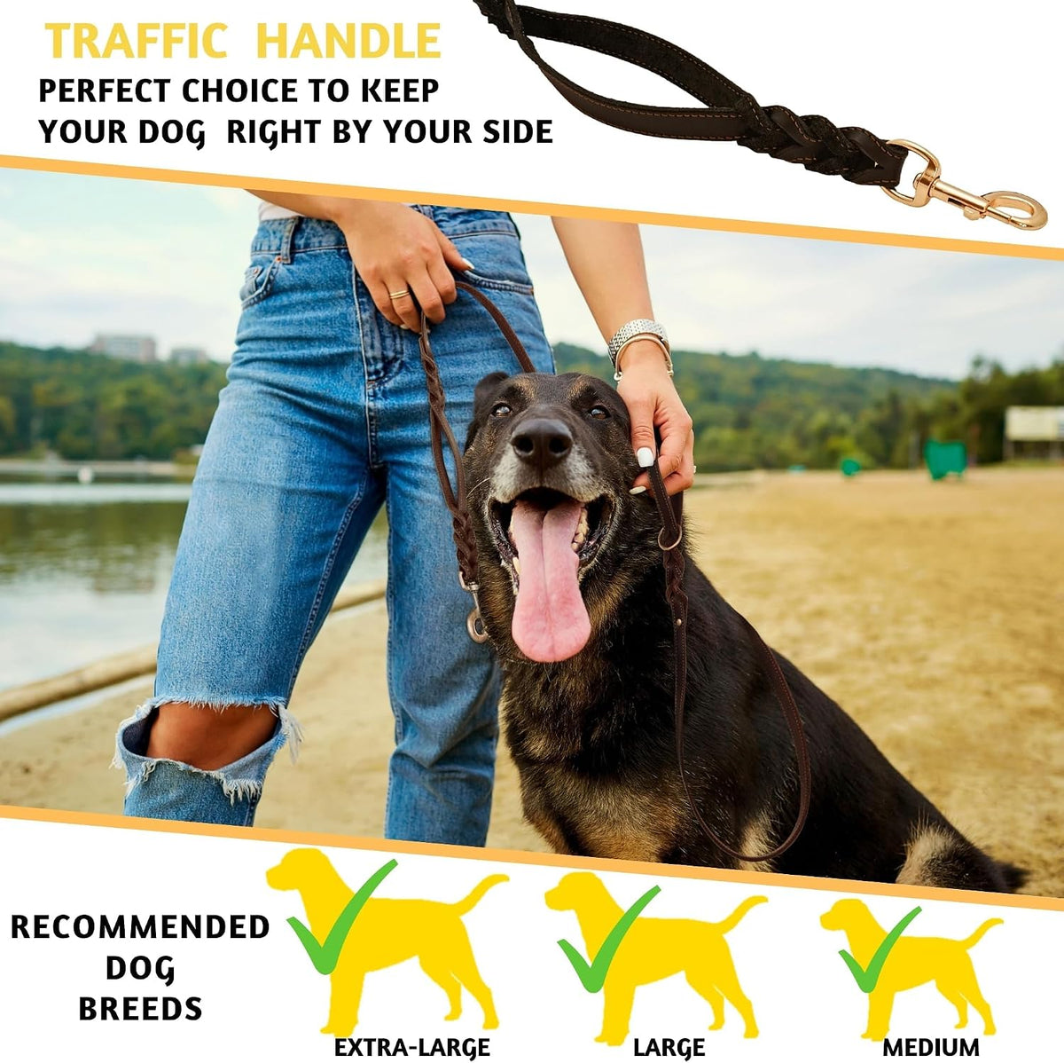 Leather Dog Leash with Traffic Handle, 6ft, Medium & Large Dogs