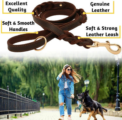 Leather Dog Leash with Traffic Handle, 6ft, Medium & Large Dogs
