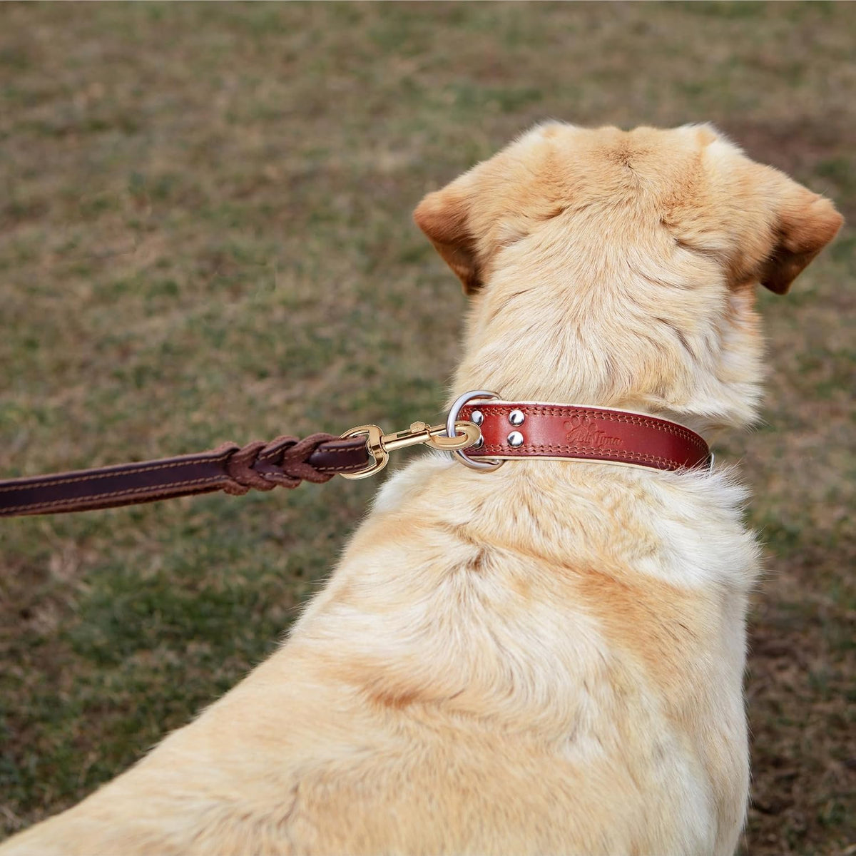 Leather Dog Leash with Traffic Handle, 6ft, Medium & Large Dogs