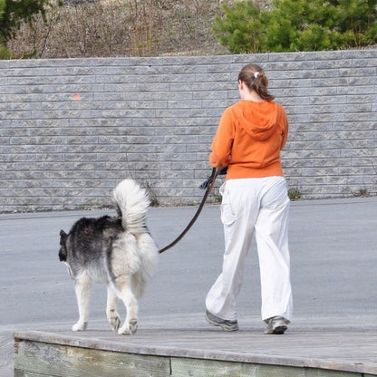 Leather Dog Leash 6ft, Heavy Duty Training Leash for Large Medium Dogs