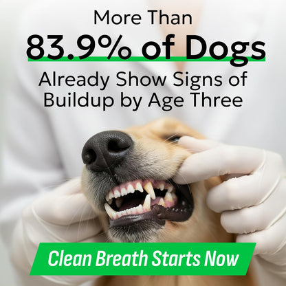 Dog Teeth Breath Freshener Chews, Dental Cleaning Treats