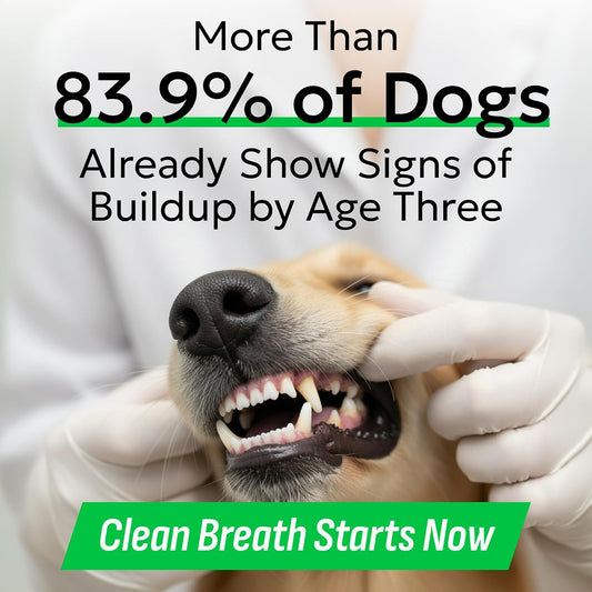 Dog Teeth Breath Freshener Chews, Dental Cleaning Treats