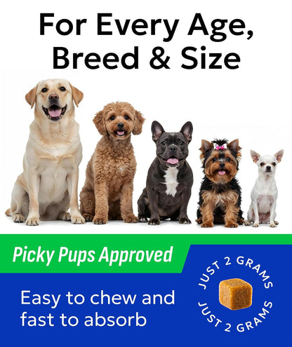 Dog Teeth Breath Freshener Chews, Dental Cleaning Treats