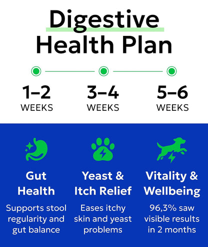 Dog Teeth Breath Freshener Chews, Dental Cleaning Treats