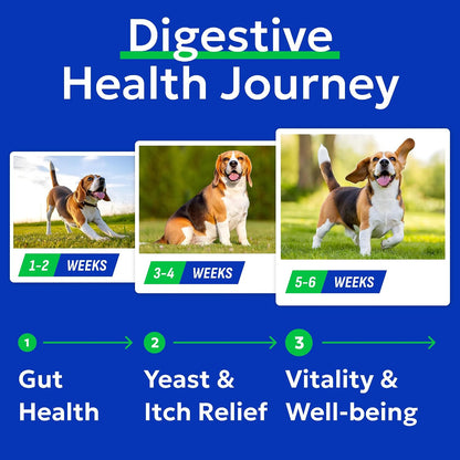 Dog Teeth Breath Freshener Chews, Dental Cleaning Treats