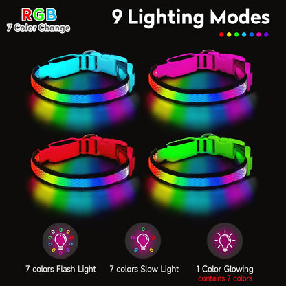 LED Dog Collar, Light Up Dog Collar,for Night Walking(Large,Green)