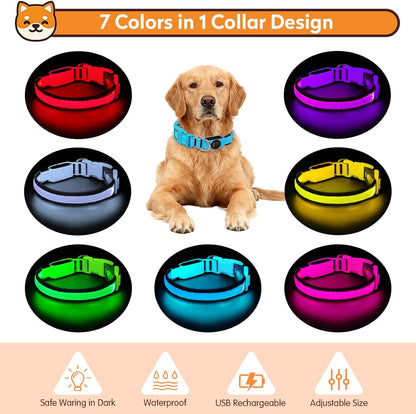 LED Dog Collar, Light Up Dog Collar,for Night Walking(Large,Green)