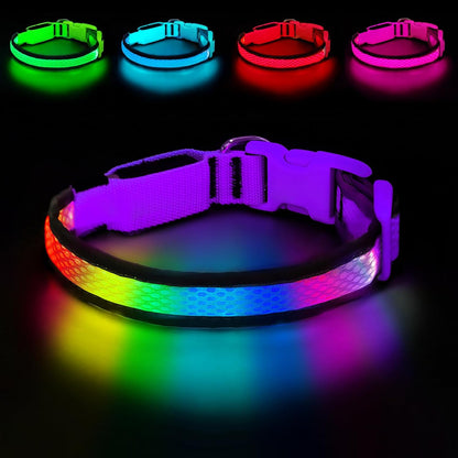LED Dog Collar, Light Up Dog Collar,for Night Walking(Large,Green)