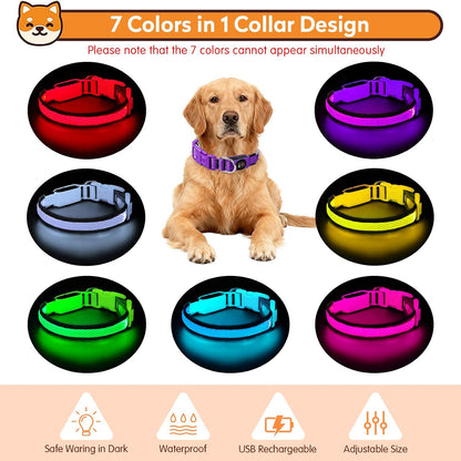 LED Dog Collar, Light Up Dog Collar,for Night Walking(Large,Green)