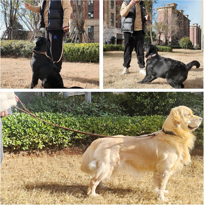 Leather Dog Leash 6ft x 3/4 inch, Heavy Duty, Soft and Strong for Large, Medium, Small Dogs - Premium Leather Leash for Dogs