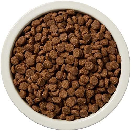 Amazon Brand - Dry Dog Food Salmon & Sweet Potato, Grain Free 24 lb Bag