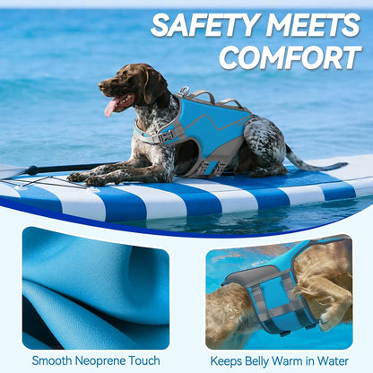 Dog Life Vest Neoprene Dog Swim Vest, XL, Cyra Blue