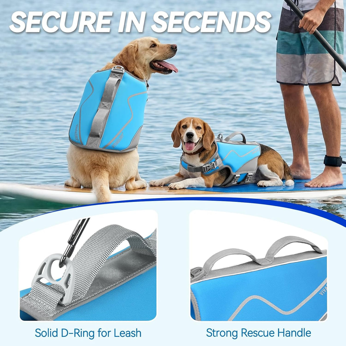 Dog Life Vest Neoprene Dog Swim Vest, XL, Cyra Blue