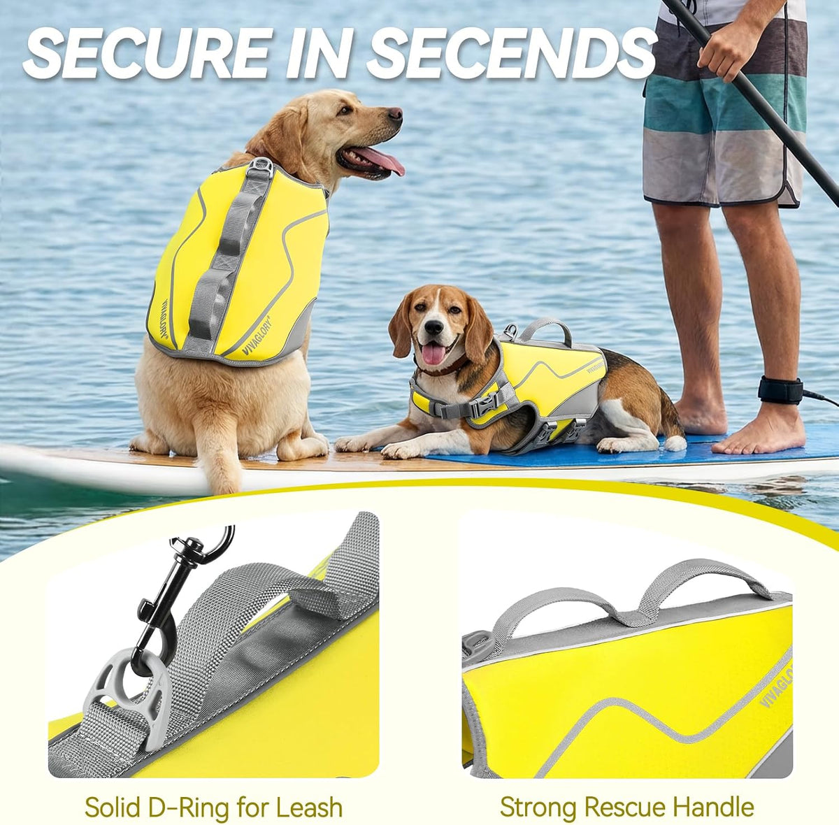 Dog Life Vest Neoprene Dog Swim Vest, XL, Cyra Blue