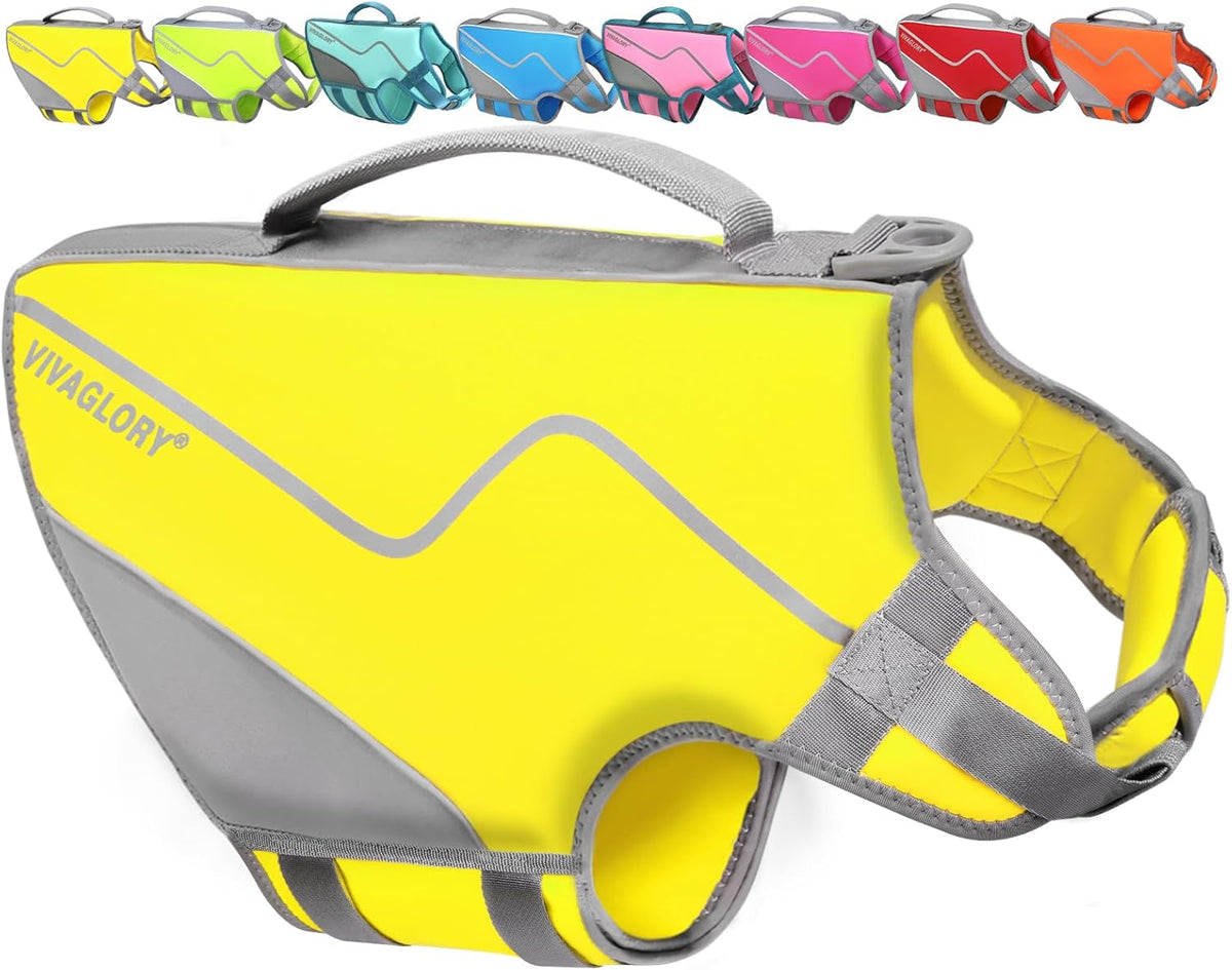 Dog Life Vest Neoprene Dog Swim Vest, XL, Cyra Blue
