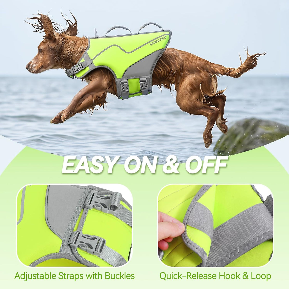 Dog Life Vest Neoprene Dog Swim Vest, XL, Cyra Blue
