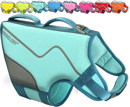 Dog Life Vest Neoprene Dog Swim Vest, XL, Cyra Blue