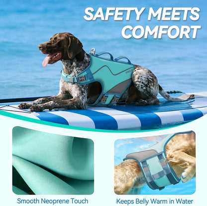 Dog Life Vest Neoprene Dog Swim Vest, XL, Cyra Blue