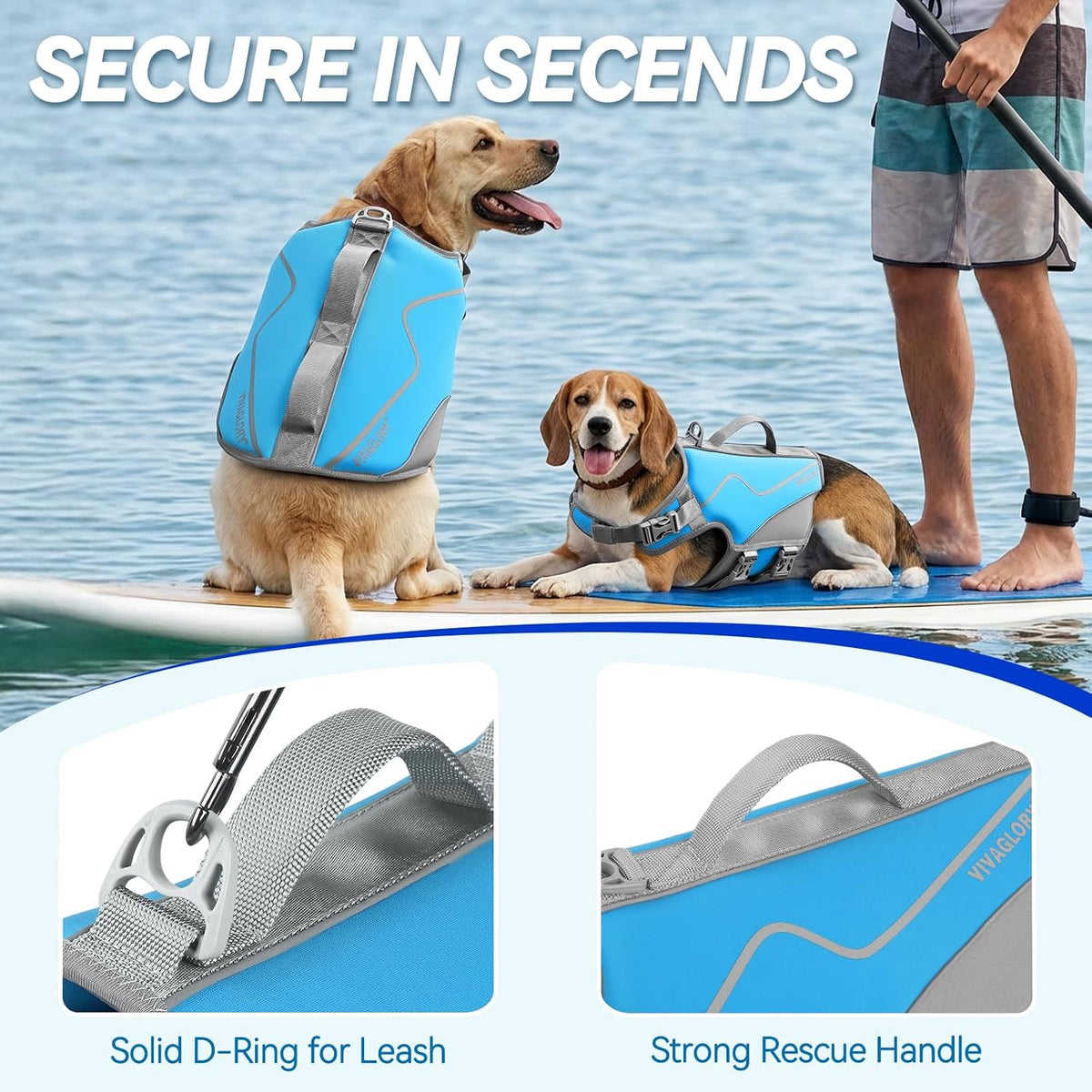 Dog Life Vest Neoprene Dog Swim Vest, XL, Cyra Blue