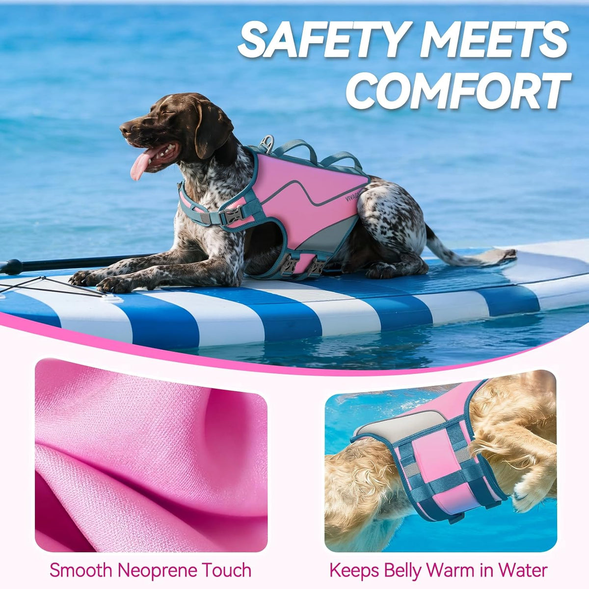 Dog Life Vest Neoprene Dog Swim Vest, XL, Cyra Blue