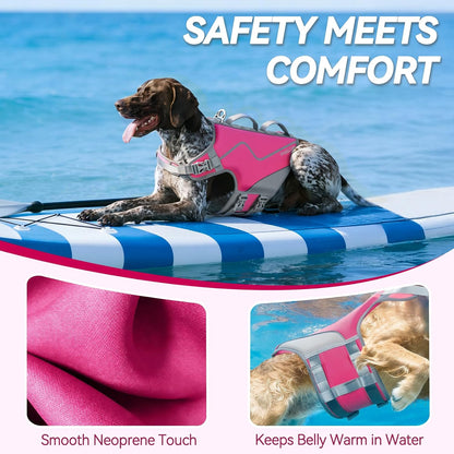 Dog Life Vest Neoprene Dog Swim Vest, XL, Cyra Blue