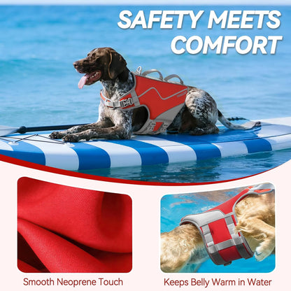 Dog Life Vest Neoprene Dog Swim Vest, XL, Cyra Blue