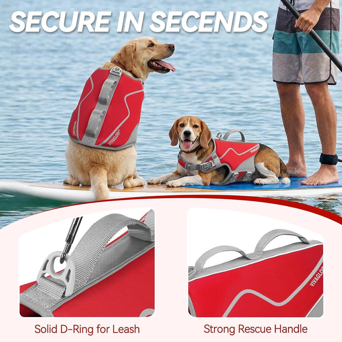 Dog Life Vest Neoprene Dog Swim Vest, XL, Cyra Blue