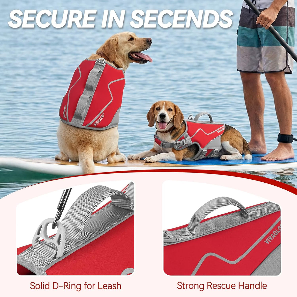 Dog Life Vest Neoprene Dog Swim Vest, XL, Cyra Blue
